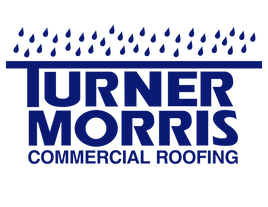 master-transparent-tm-logo-blue-png