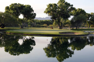 Tubac-green with cow
